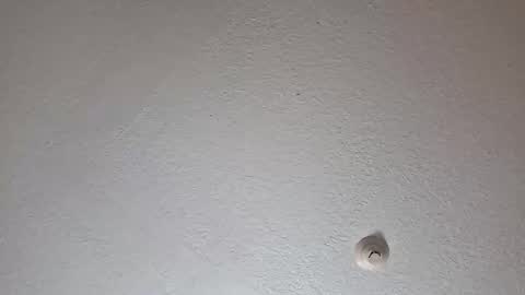 thatthingsloaded01 online show from February 24, 5:54 am