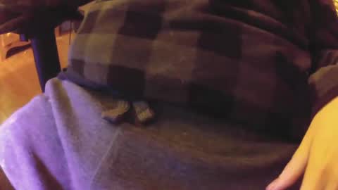 The Fox  The Cat online show from January 3, 3:55 pm