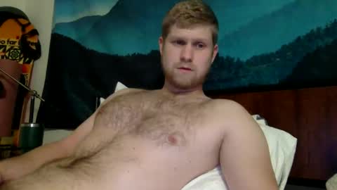 Harry online show from November 19, 5:13 pm