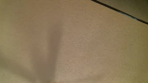 Daisy and Tim online show from October 19, 3:44 am