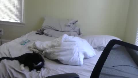 thepats2323 online show from February 19, 3:27 pm