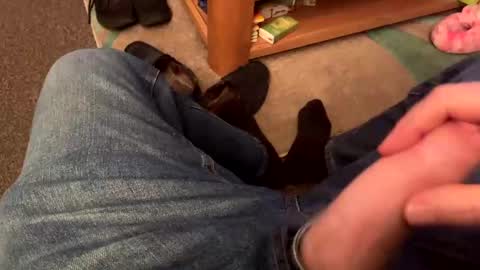 Snapshot of therealpietro77 chatting on December 13, 9:41 pm therealpietro77 online show from December 13, 9:41 pm