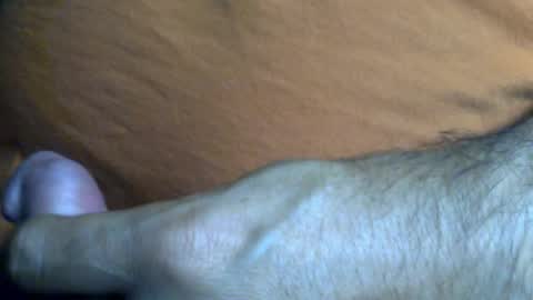 thesash online show from February 28, 9:36 am