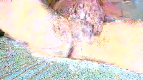 Snapshot of thetightestass14 chatting on February 25, 10:47 am thetightestass14 online show from February 25, 10:47 am