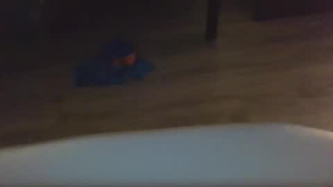 thicdaddypeg online show from April 23, 7:46 am