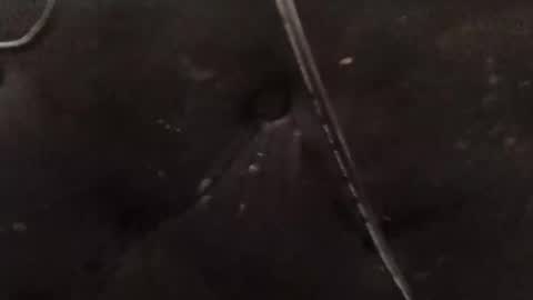 thikstik_80 online show from November 6, 8:39 am