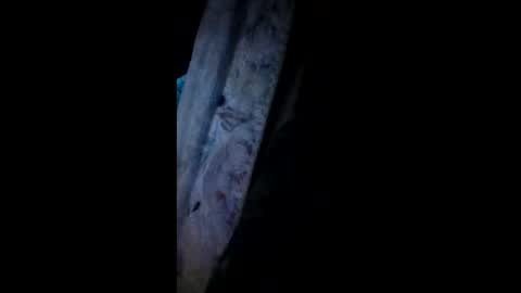 thistheonly1 online show from October 4, 11:04 am