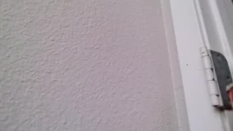 thistheonly1 online show from February 5, 3:53 pm