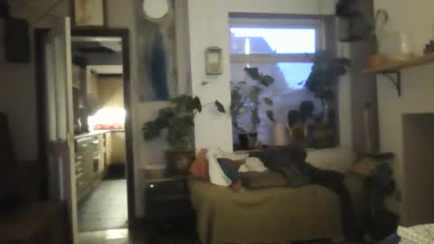 tiddles12345 online show from October 18, 6:29 am