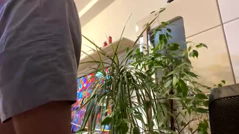 Tyler online show from November 16, 3:14 pm