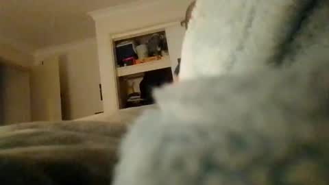 timbowwow online show from November 11, 8:25 pm