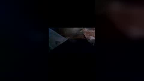 tjo01 online show from January 6, 1:04 pm