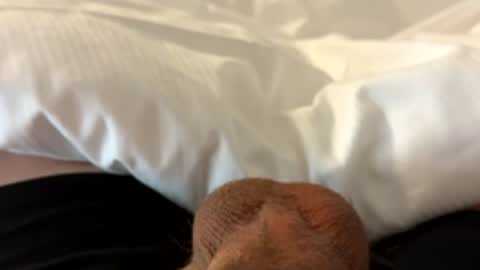 tmue online show from March 16, 8:35 pm