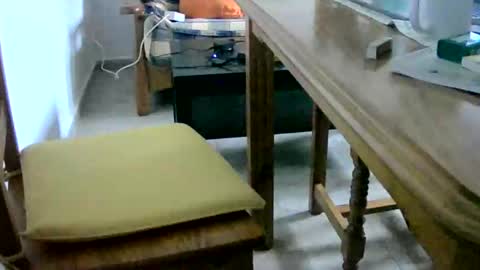 Tobiko online show from February 28, 12:31 pm