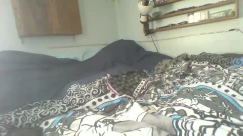 Snapshot of toddhaven4u chatting on November 1, 7:40 pm toddhaven4u online show from November 1, 7:40 pm