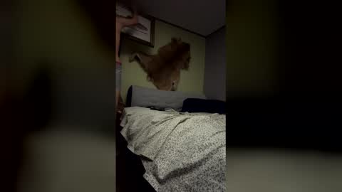 toddpascoe77 online show from March 4, 6:42 am