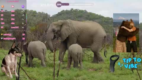 Tomaz62a online show from November 1, 12:04 am