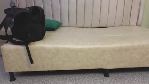 Tomas online show from March 29, 8:03 am