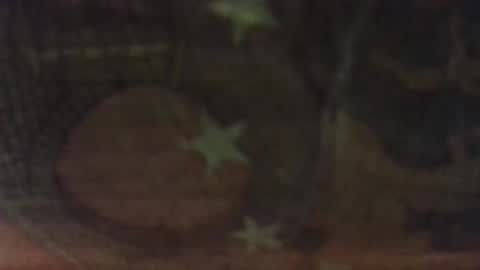 topati74 online show from November 27, 8:34 pm