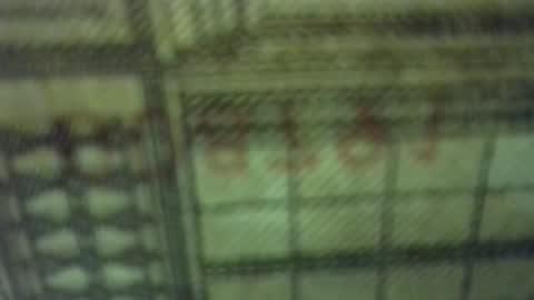 topati74 online show from November 21, 3:22 pm