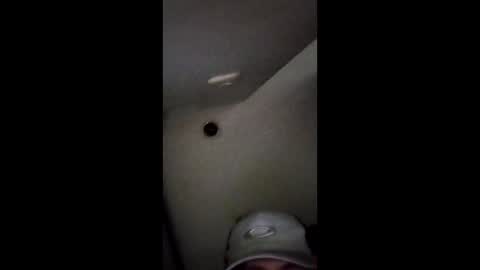 TradicionCanera23cm online show from March 1, 10:59 am