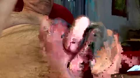 trebgeis1 online show from February 11, 9:46 pm