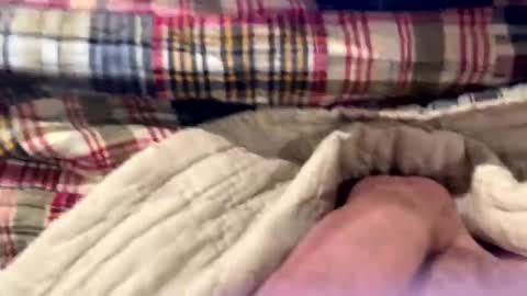 tree553 online show from December 28, 6:50 pm