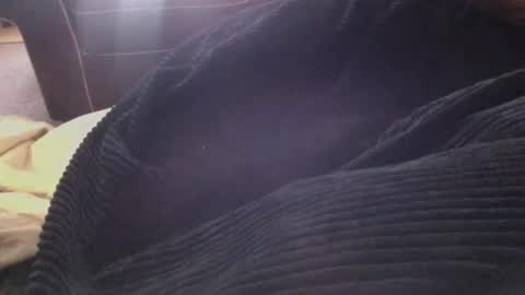 T-Rex Taint online show from March 1, 4:39 pm