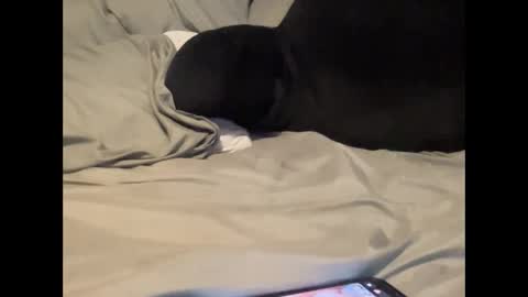 Snapshot of txsizedhog420 chatting on September 23, 10:20 pm txsizedhog420 online show from September 23, 10:20 pm