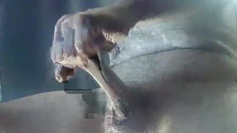 Snapshot of unsungyethung chatting on December 25, 11:54 am unsungyethung online show from December 25, 11:54 am