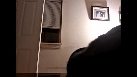 vibenfeelingood online show from November 14, 9:00 am