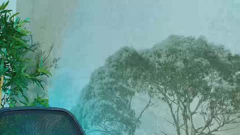 Victory online show from October 25, 3:58 pm