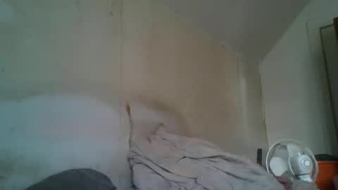 vids1977 online show from December 29, 4:51 pm