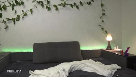 vladdicheck online show from October 29, 11:46 am