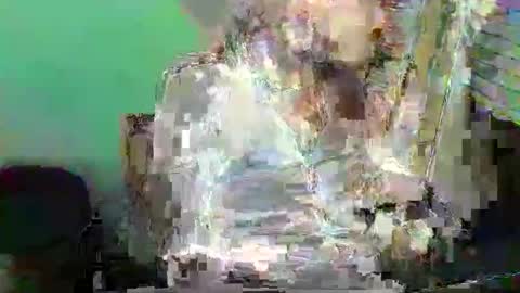 wamerwolf online show from November 17, 6:27 am