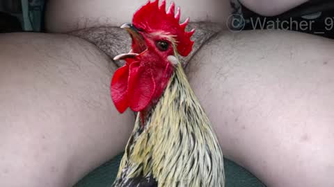 classified online show from January 19, 7:58 pm