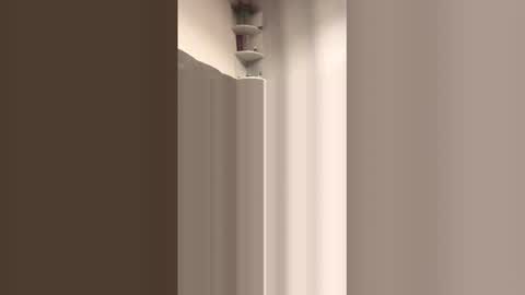 watchmethrob69 online show from December 18, 12:23 pm