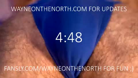 Snapshot of waynenorth chatting on February 20, 4:25 pm waynenorth online show from February 20, 4:25 pm