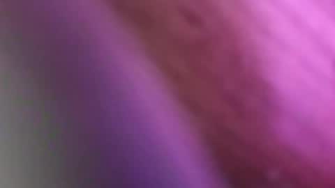 weekaway online show from December 2, 7:44 am