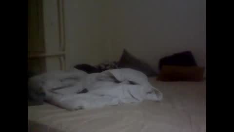 wgefwdtfvnlx online show from October 13, 8:26 pm