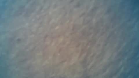 Snapshot of wildman6 chatting on February 15, 9:28 pm wildman6 online show from February 15, 9:28 pm
