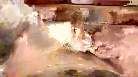 willcumloves online show from November 18, 11:59 pm