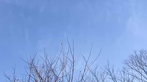 Topic the Rapper online show from December 8, 8:15 pm