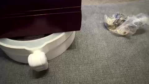 WolfX online show from September 17, 11:39 pm