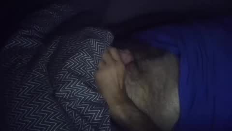 wolleysheep online show from November 2, 6:17 am