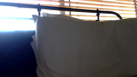 woof_wolf37 online show from October 23, 3:37 pm