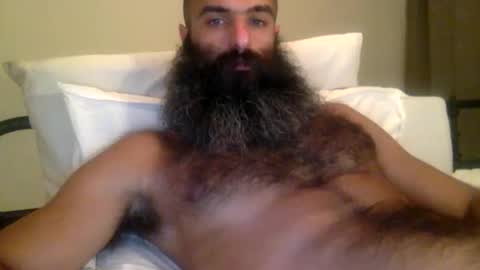 woof_wolf37 online show from March 8, 2:04 am