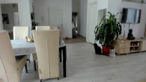 Wolfie online show from January 19, 10:17 am