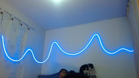 xalejo_max online show from September 21, 4:01 am