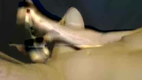 xxxdunnyxxx online show from February 20, 6:10 am